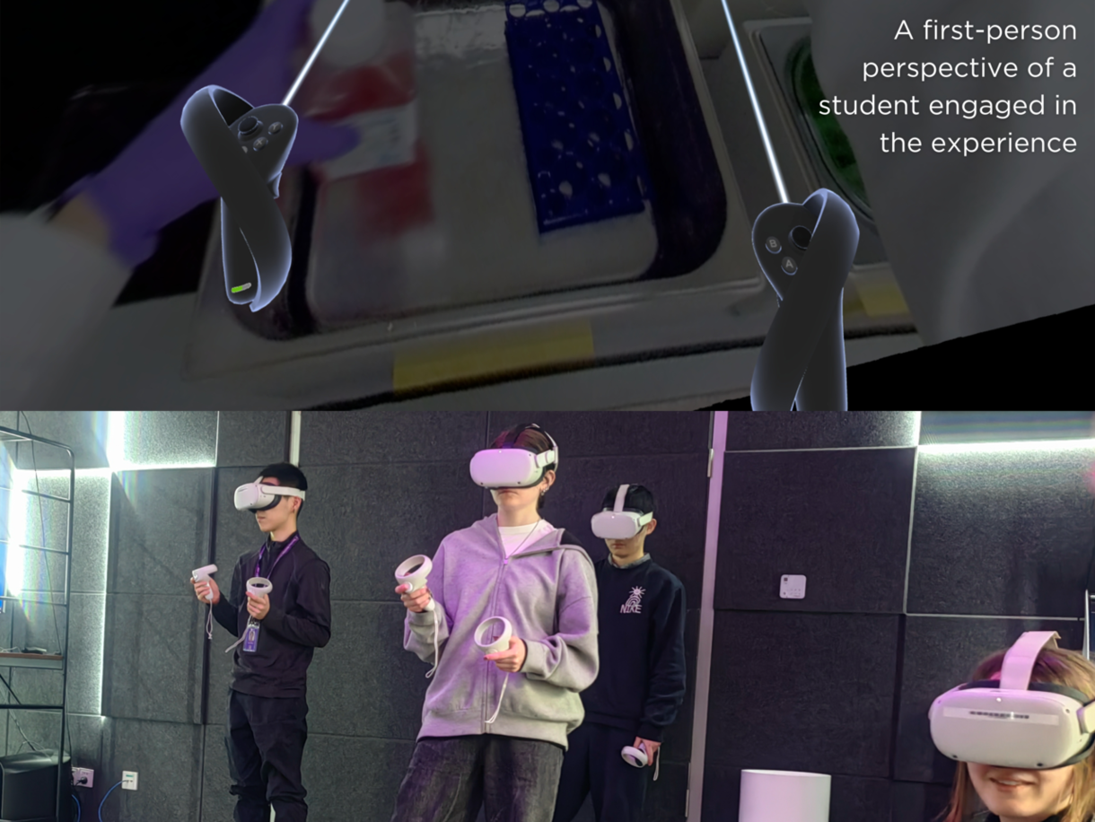 Cell Culture Procedure in 3D VR 180