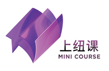 Mini Course