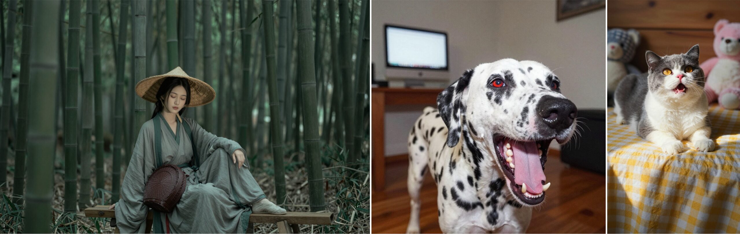 Z-Image: Alibaba’s Efficient 6B Open-Source Image Generation Model
