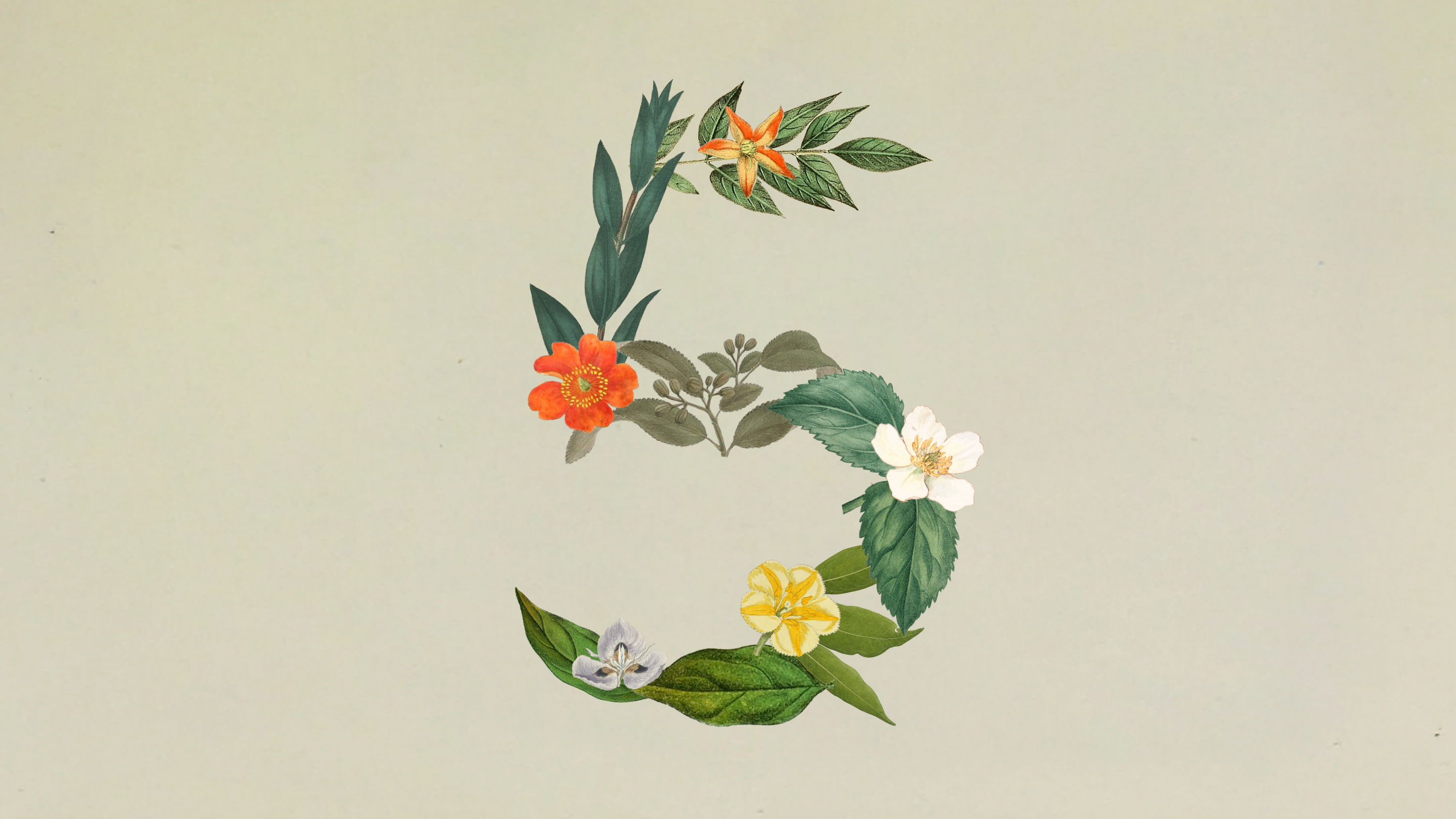 Anthropic Launches Claude Sonnet 5, Closing the Gap With Opus